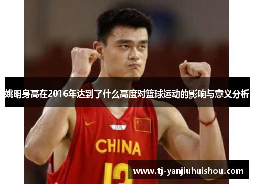 姚明身高在2016年达到了什么高度对篮球运动的影响与意义分析